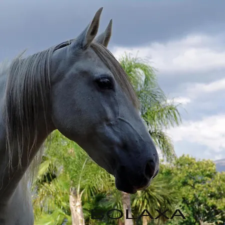 Quinta Santa Marinha *