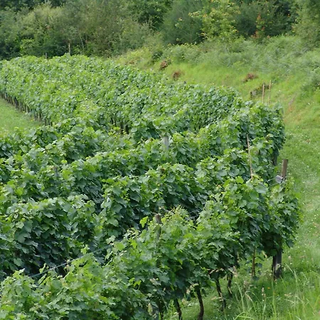 Κατάλυμα σε φάρμα Quinta Santa Marinha