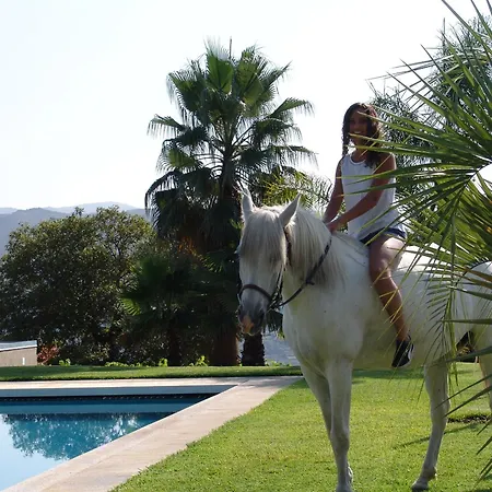 Фермерский дом Quinta Santa Marinha *