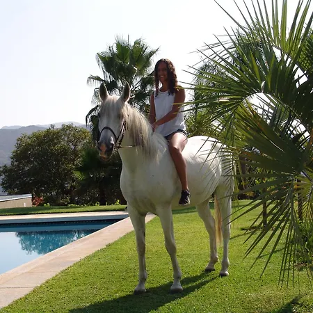 Farm stay Quinta Santa Marinha Arcos de Valdevez