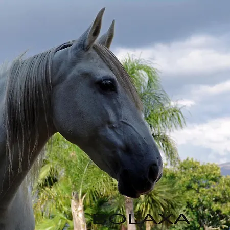Фермерский дом Quinta Santa Marinha