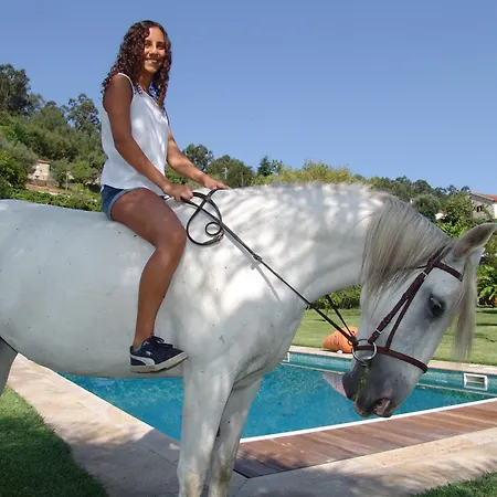 Quinta Santa Marinha Farm stay *