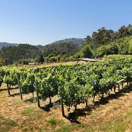 Quinta Santa Marinha ファームステイ *