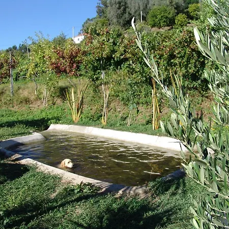 Séjour à la ferme Quinta Santa Marinha