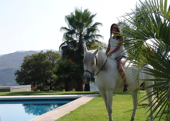 农家乐 Quinta Santa Marinha *