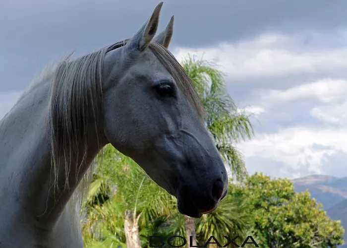 农家乐 Quinta Santa Marinha