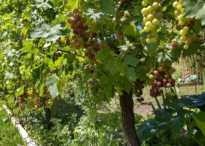 农家乐 Quinta Santa Marinha 阿尔库什迪瓦尔德维什