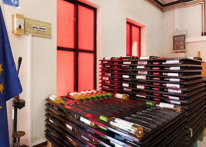 Quinta Santa Marinha 阿尔库什迪瓦尔德维什