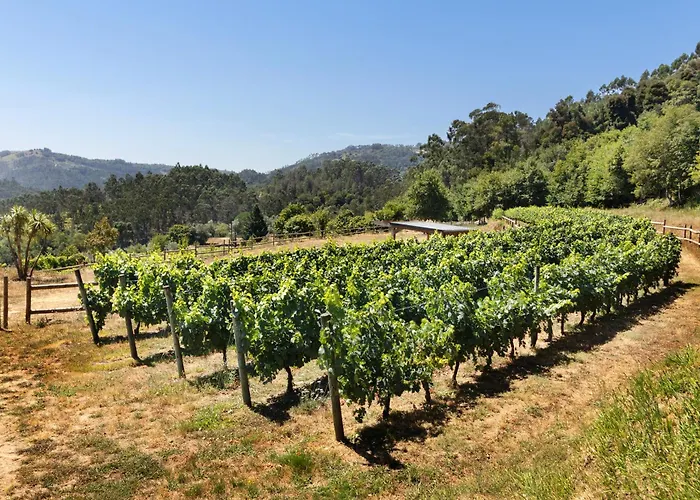 Quinta Santa Marinha Vakantieboerderij *